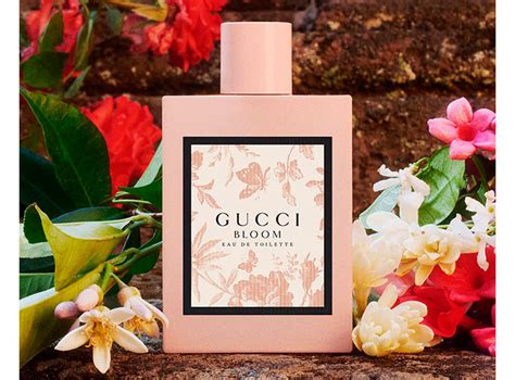 perfumania gucci bloom|gucci bloom perfume knock off.